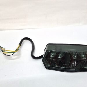 CH596 (1) Motorcycle modified fishbone taillight LED turn signal assembly smoke