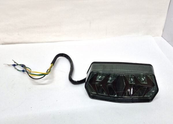 Motorcycle modified fishbone taillight LED turn signal assembly smoke