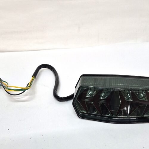 Motorcycle modified fishbone taillight LED turn signal assembly smoke