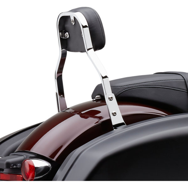 CH1002 (3) Cobra Detachable Backrest Mini 602-2031 for Harley FLSB 2018-25